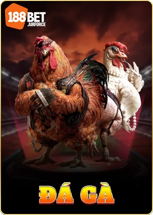 đá gà 188bet