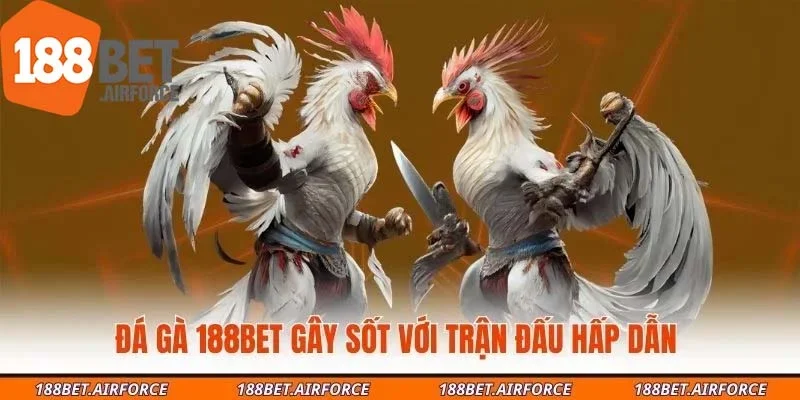 Đá gà 188Bet gây sốt với trận đấu hấp dẫn 
