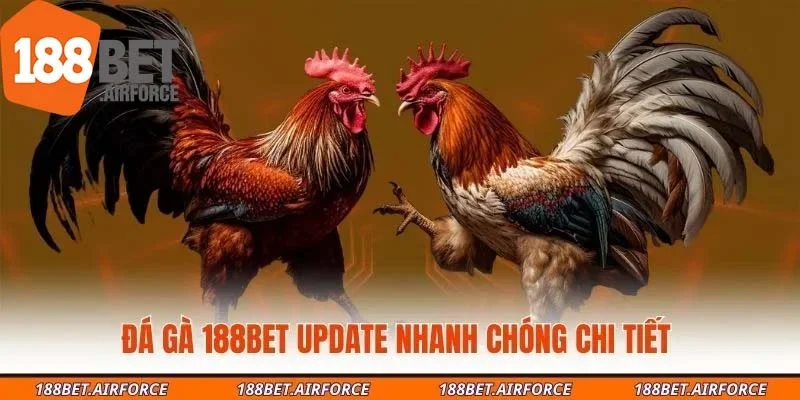 Đá gà 188Bet update nhanh chóng chi tiết 
