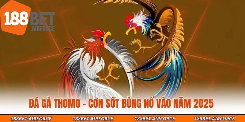 Đá Gà Thomo - Cơn Sốt Bùng Nổ Vào Năm 2025
