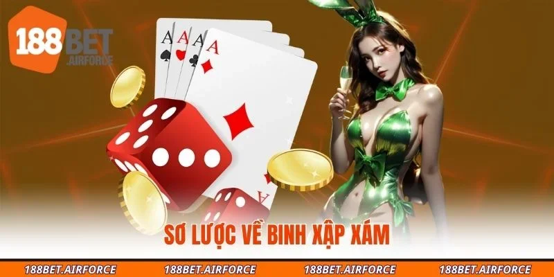 Sơ lược về binh xập xám